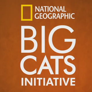 NatGeo_BigCats_Thumb